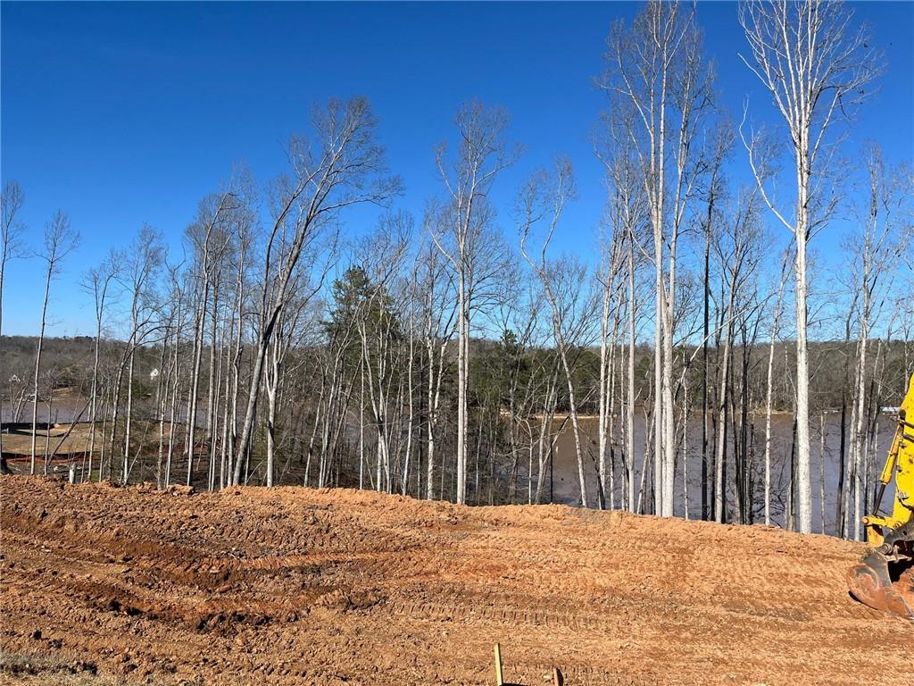 47 Cedar Creek Drive, Dawsonville, Georgia image 3