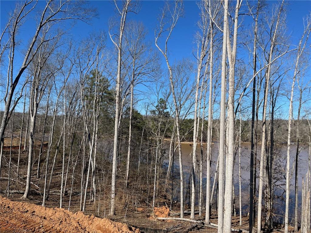 47 Cedar Creek Drive, Dawsonville, Georgia image 4