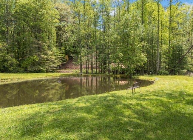 1172 Settlers Ridge Road, Ellijay, Georgia image 37