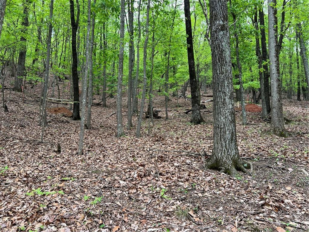 387 Windflower Drive