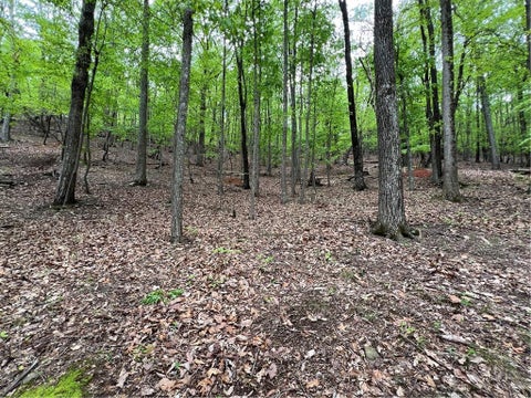 Vacant Land For Sale - 387 Windflower Drive<br/> Dawson County, Big Canoe, GA 30143