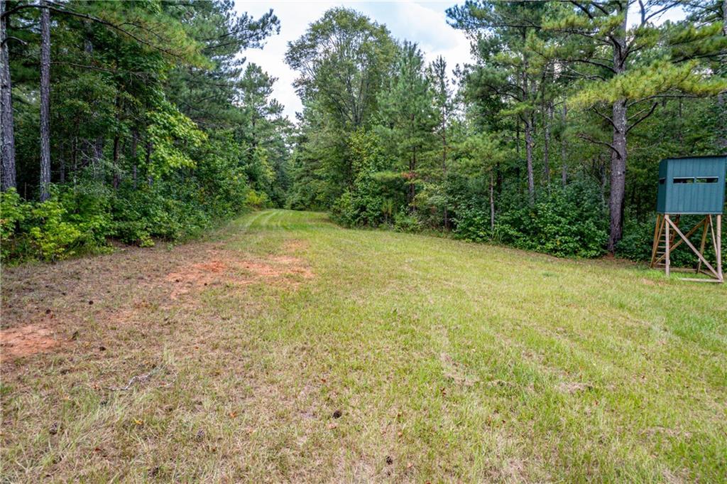 Indian Creek Rd., Madison, Georgia image 4