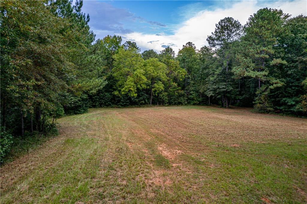Indian Creek Rd., Madison, Georgia image 7
