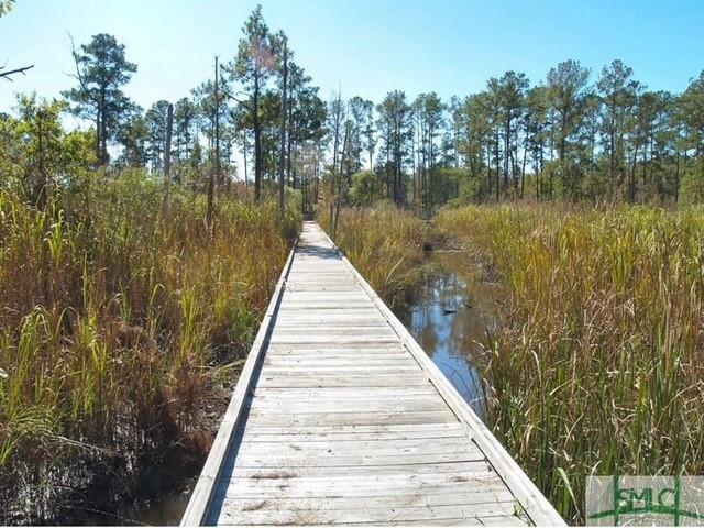 145 Travelers Way, Richmond Hill, Georgia image 6