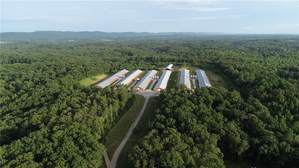 876 Wood Station Road