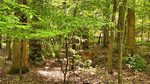 A home in Ellijay