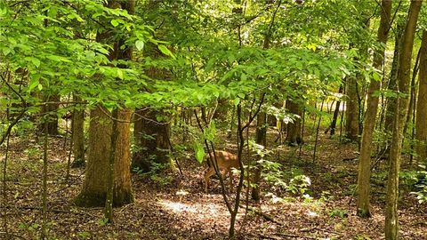 A home in Ellijay