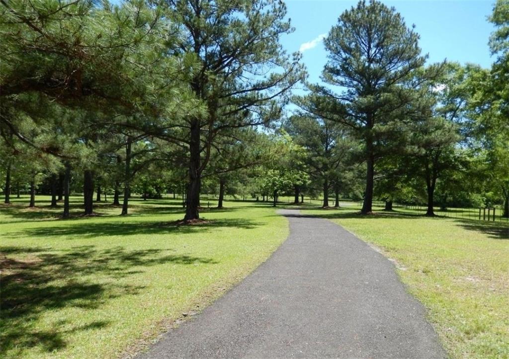 2456 Blanton Mill Road, Williamson, Georgia image 3