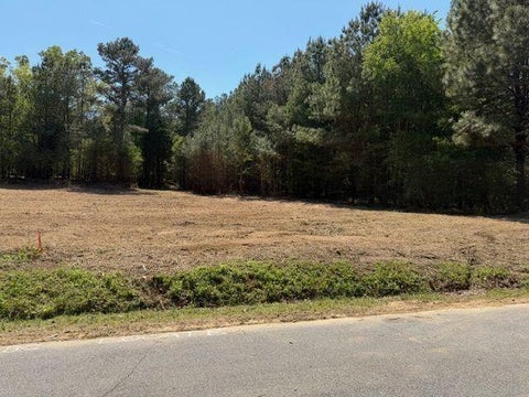 Vacant Land For Sale - 84 Popham Road Tract 3 Rd<br/> Taylorsville, GA 30178