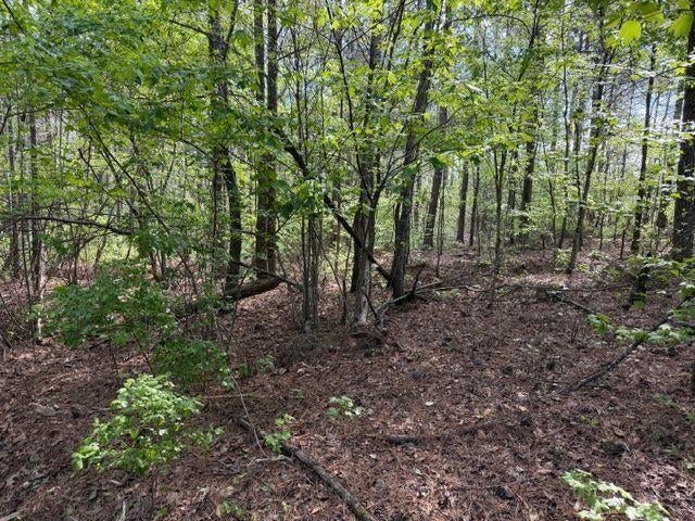 84 Popham Road Tract 3