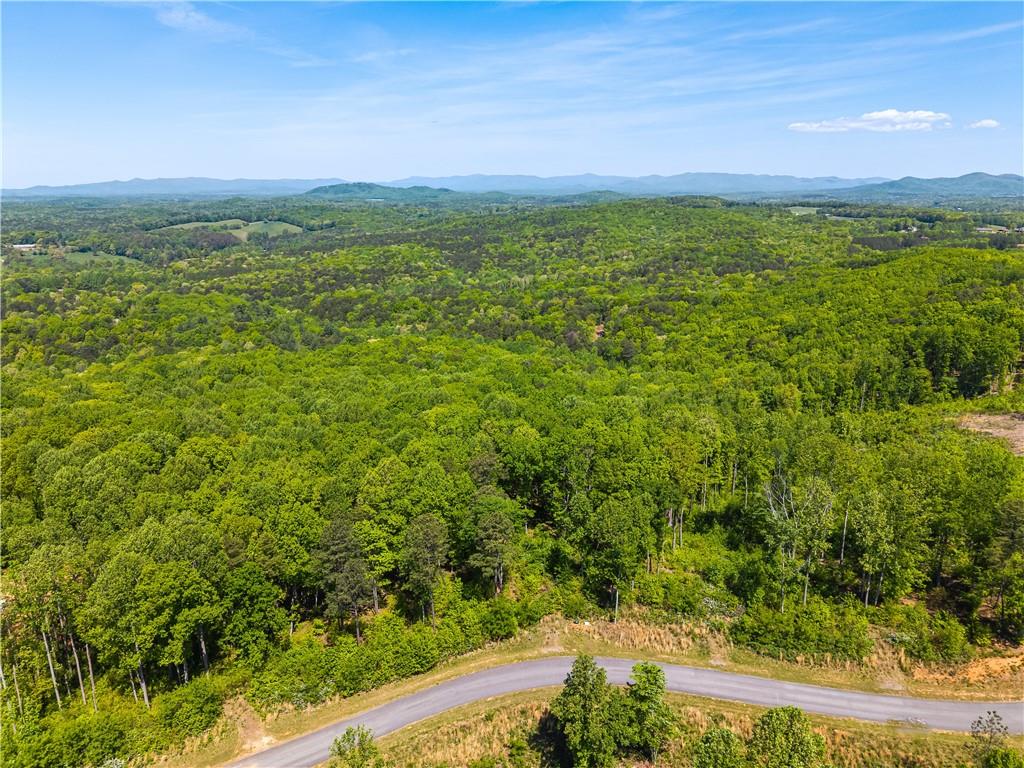 LT 112 Twisted Oak Road