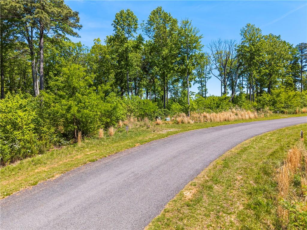 LT 112 Twisted Oak Road