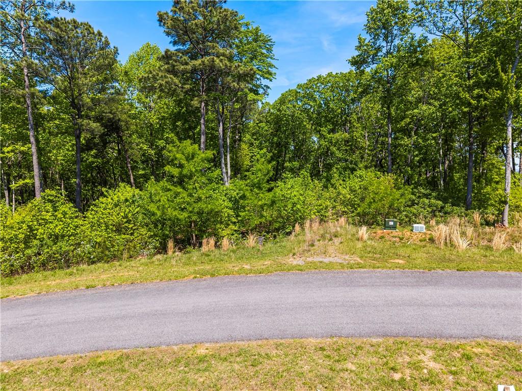 LT 112 Twisted Oak Road