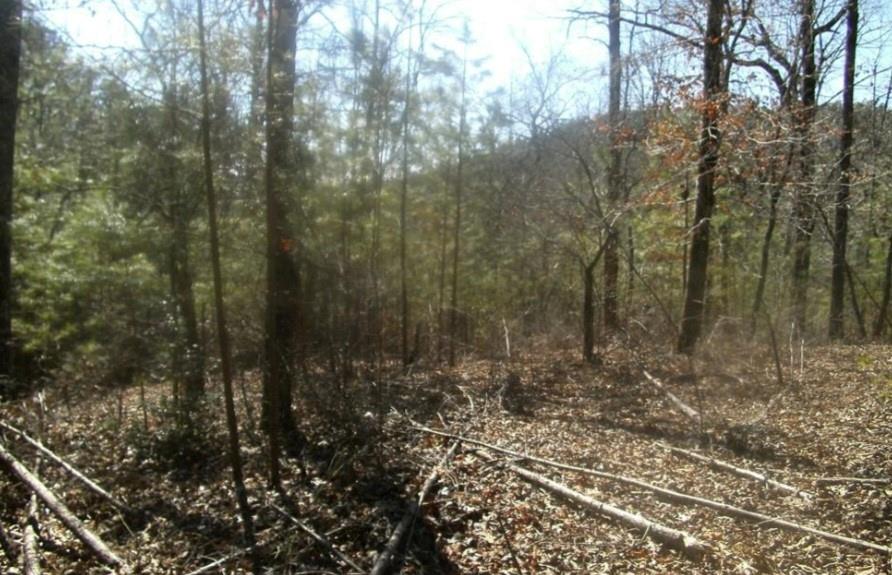 99 Old Post Trail, Talking Rock, Georgia image 1