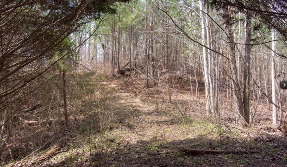 99 Old Post Trail, Talking Rock, Georgia image 3