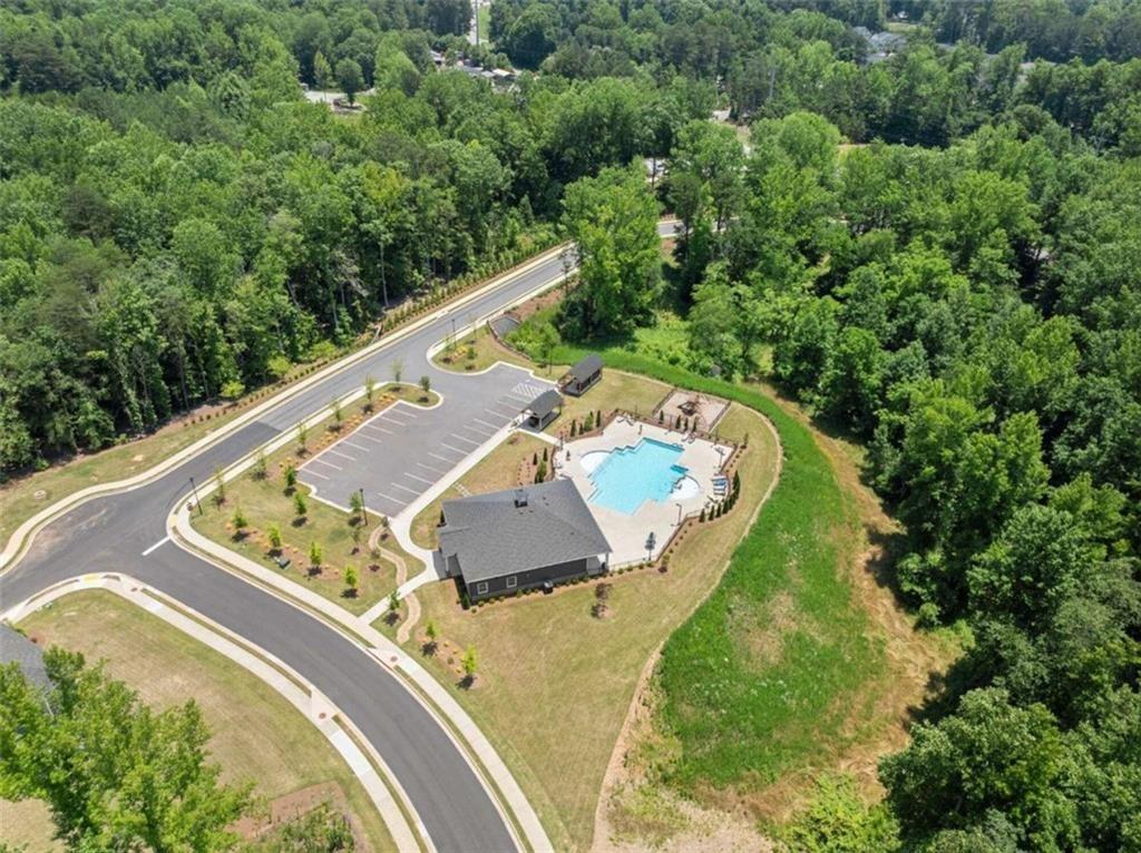 225 Magnolia Drive, Dawsonville, Georgia image 46