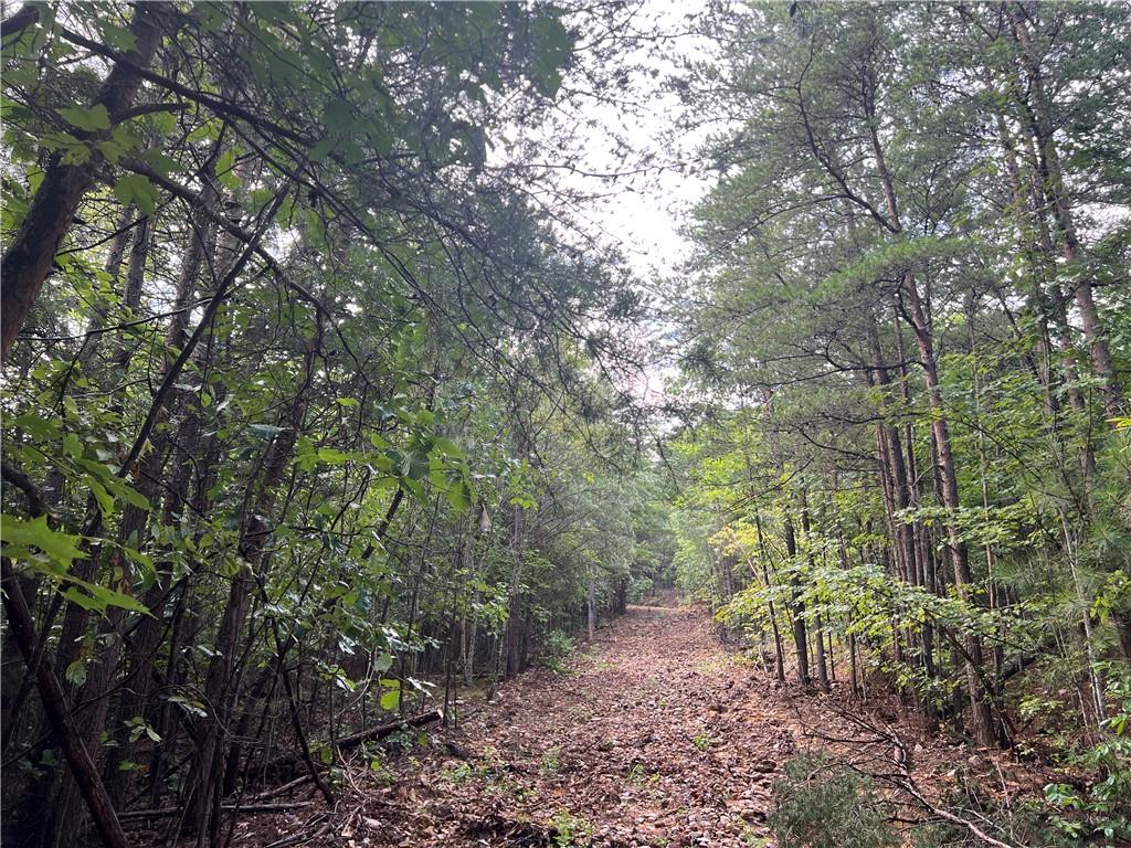 0 Cherokee Hills Road NE