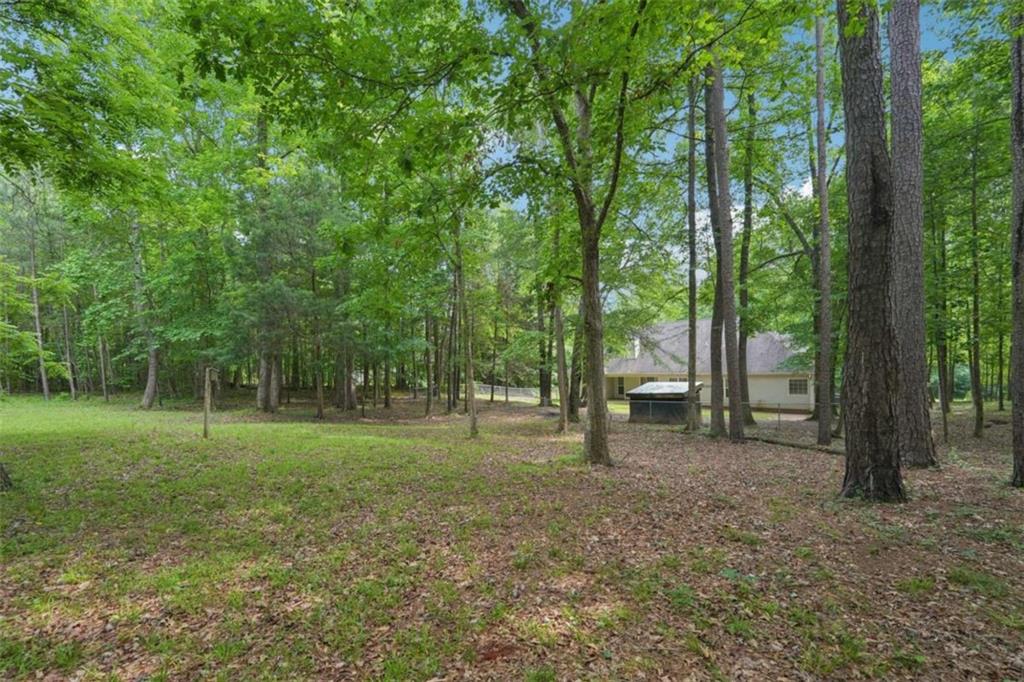 25 Pebble Creek Drive, Covington, Georgia image 47