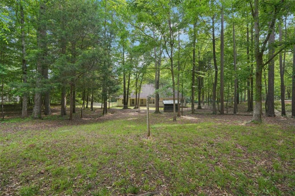25 Pebble Creek Drive, Covington, Georgia image 48