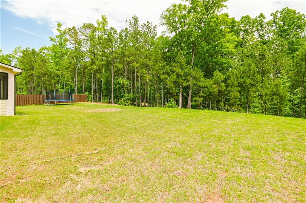 282 Brant Circle, Jefferson, Georgia image 25