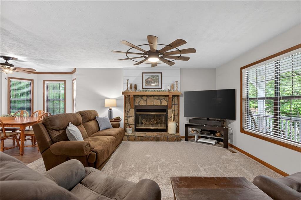 4301 Cades Cove Drive