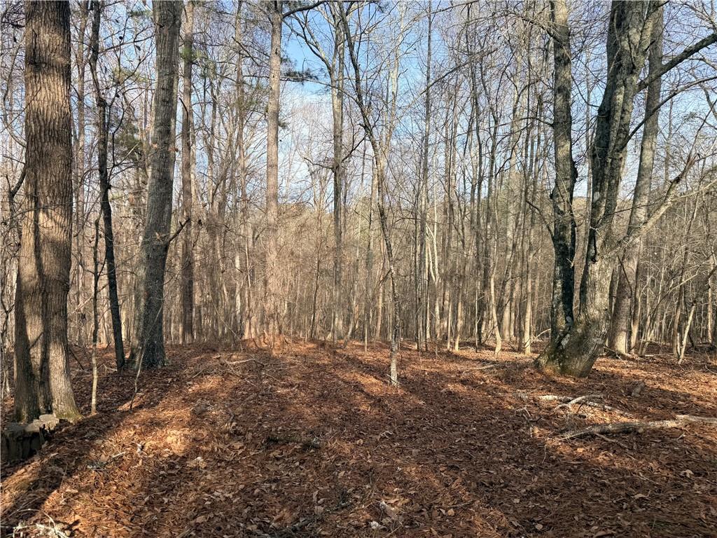 1573 Norris Lake Way