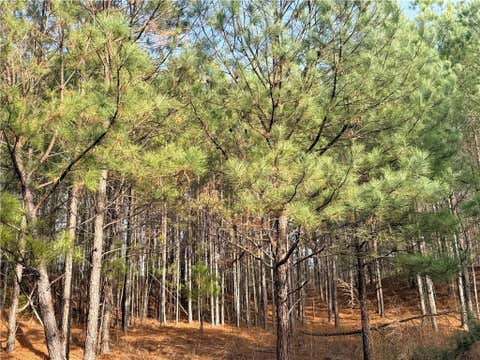 Vacant Land For Sale - 1573 Norris Lake Way<br/> Dekalb County, Snellville, GA 30039