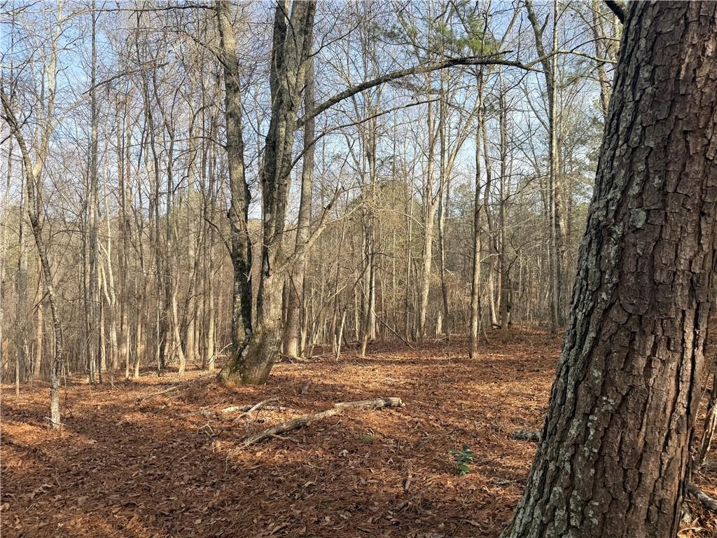 1573 Norris Lake Way