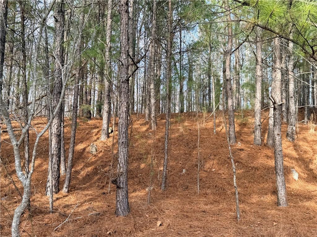 1573 Norris Lake Way