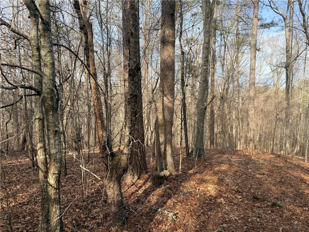 1573 Norris Lake Way