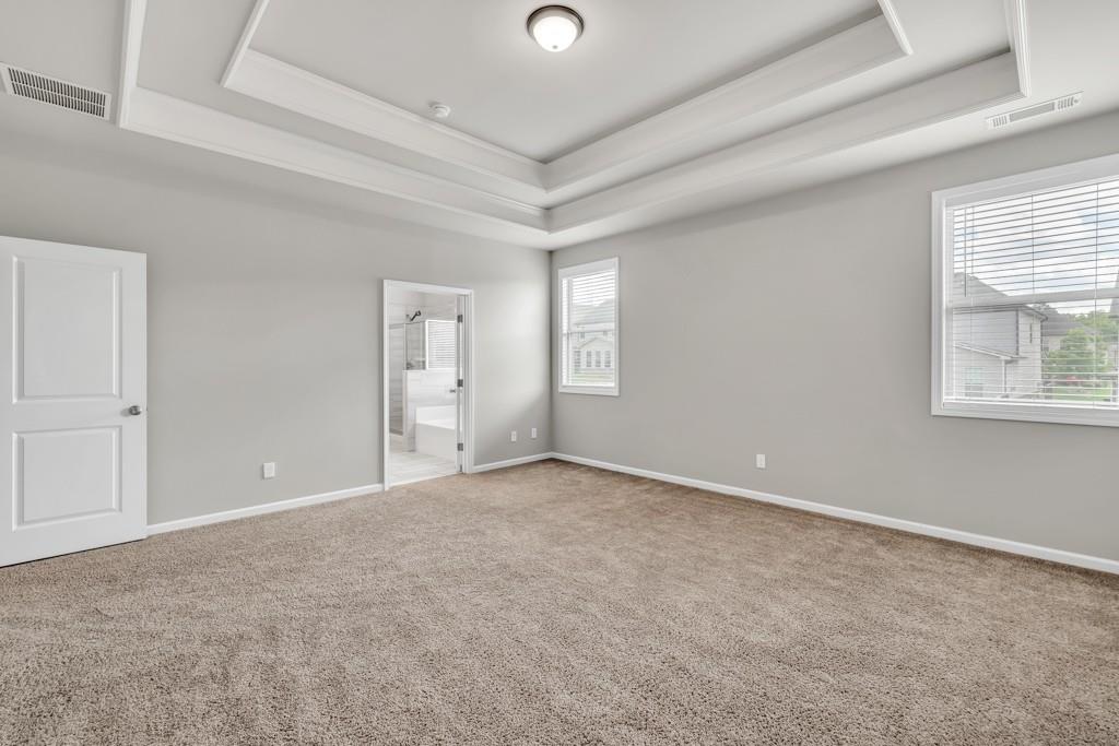 3477 Ivy Birch Way, Buford, Georgia image 30