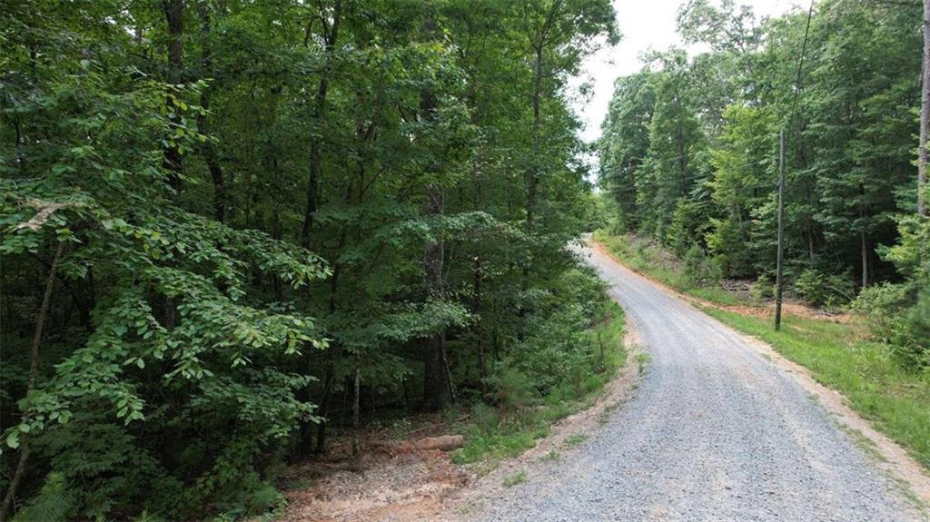 Discover Sustainable Mountain Living in Mountaintown Heights! Welcome to your opportunity to build in Mountaintown Heights, an eco-conscious community nestled in the beautiful North Georgia mountains. Mountaintown Heights offers access to Lake LeCroy. There is no limit on size of home, it just has to be built in accordance with Gilmer County requirements. This 1.24-acre lot offers access to both water and electricity, and is located within a thoughtfully designed 242-acre rural development dedicated to environmental stewardship, sustainable practices, and a strong sense of community. Mountaintown Heights embraces eco-friendly living with features like organic community gardens, permaculture, erosion control, native plant landscaping, and natural resource conservation. Whether you dream of a weekend retreat or a full-time homestead, this property offers a peaceful setting surrounded by like-minded residents who value sustainability, wellness, and nature. Located just minutes from downtown Ellijay, you'll enjoy the charm of this mountain town known for its apple orchards, local wineries, and vibrant festivals. Outdoor enthusiasts will love nearby Carters Lake, perfect for boating and fishing, and scenic Blue Ridge is only a short drive away, offering hiking, waterfalls, dining, and boutique shopping. This is more than just land-it's a lifestyle. Come experience mindful living in the heart of the North Georgia mountains.