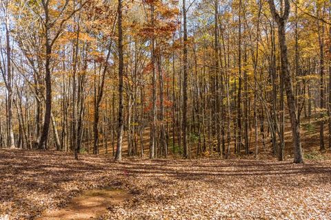 Vacant Land For Sale - LT 17R Tanager Trail<br/> Ellijay, GA 30536
