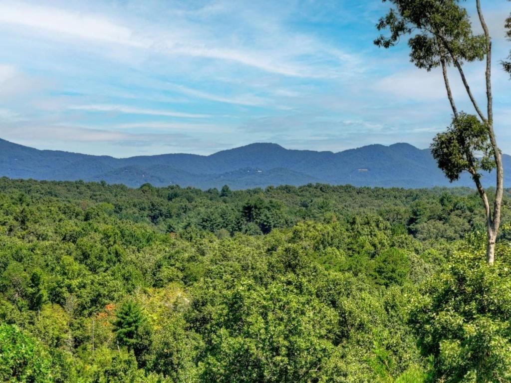 320 Amber Ridge