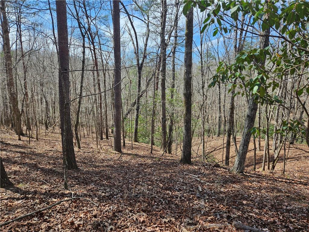 Bumpy Trail, Dawsonville, Georgia image 1