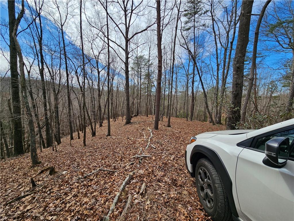 Bumpy Trail, Dawsonville, Georgia image 2