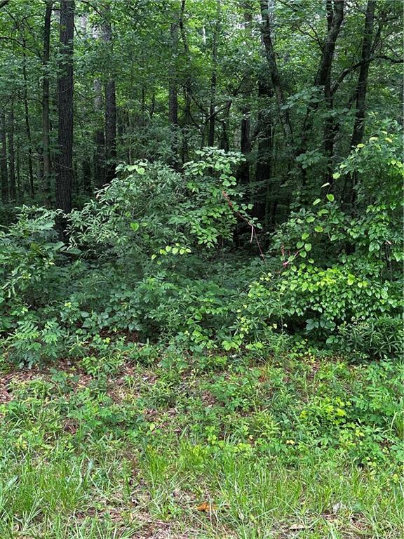 Ayers Rd, Bowdon, Georgia image 3