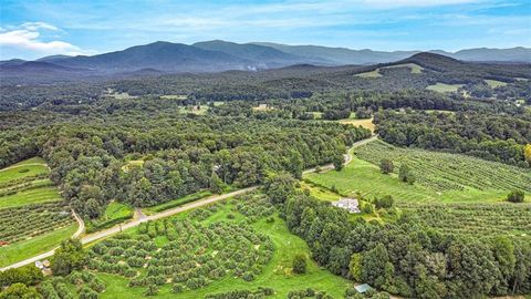 A home in Ellijay