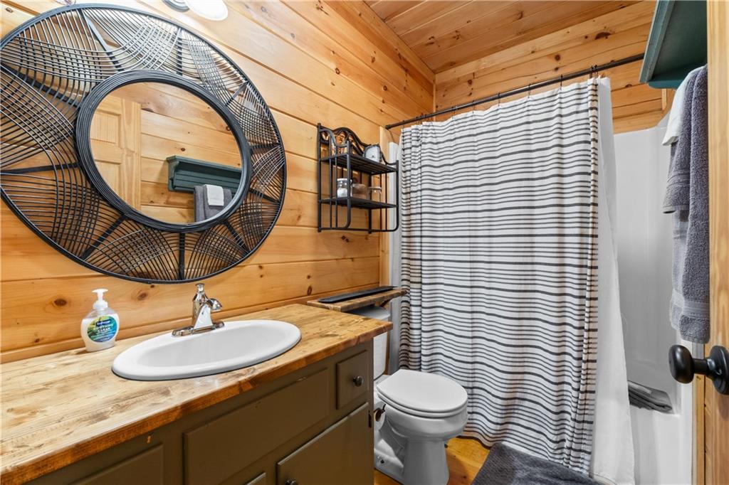 23 Holly Hollow Court, Cherry Log, Georgia image 21