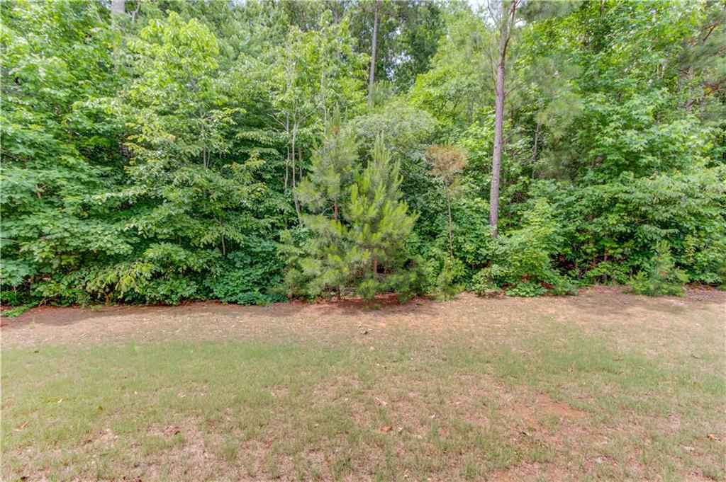 4241 Summer Breeze Way, Buford, Georgia image 38