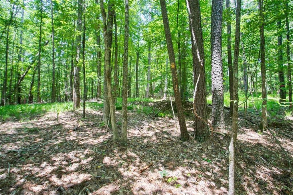 LOT20A Tanglewood Road