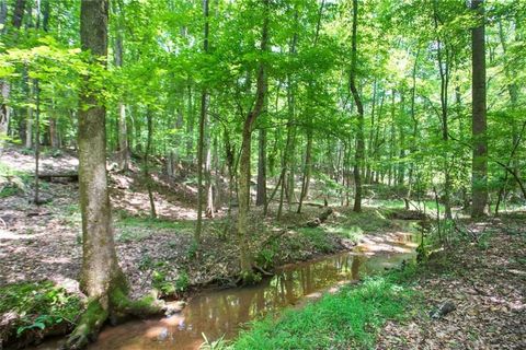 Vacant Land For Sale - LOT20A Tanglewood Road<br/> Newnan, GA 30263