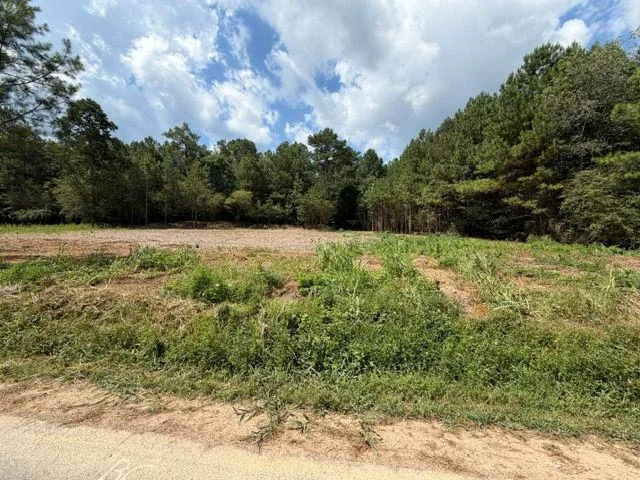 84 Popham Road Tract 2 & 3 Rd, Taylorsville, GA, 30178