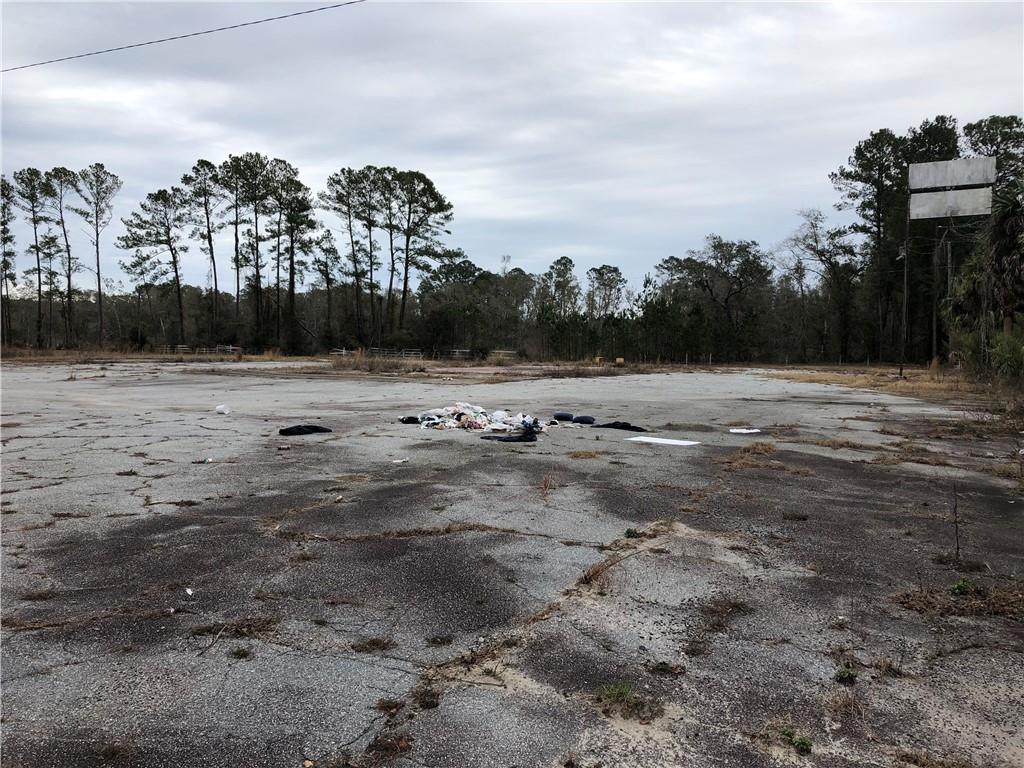 13687 Ga. Hwy. 251, Darien, Georgia image 3