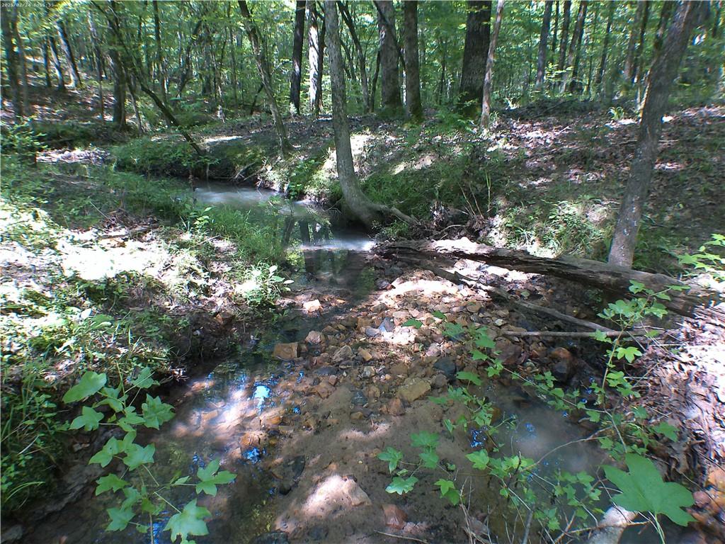 00 Mt Tabor Road