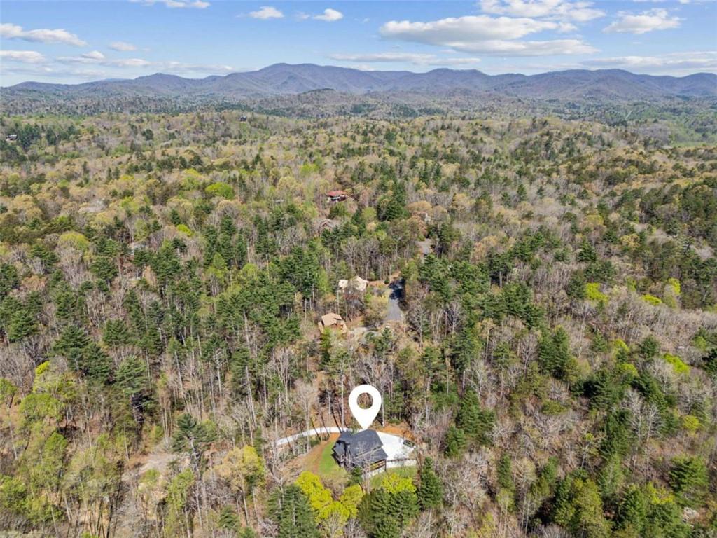 78 Pocola Court, Ellijay, Georgia image 44