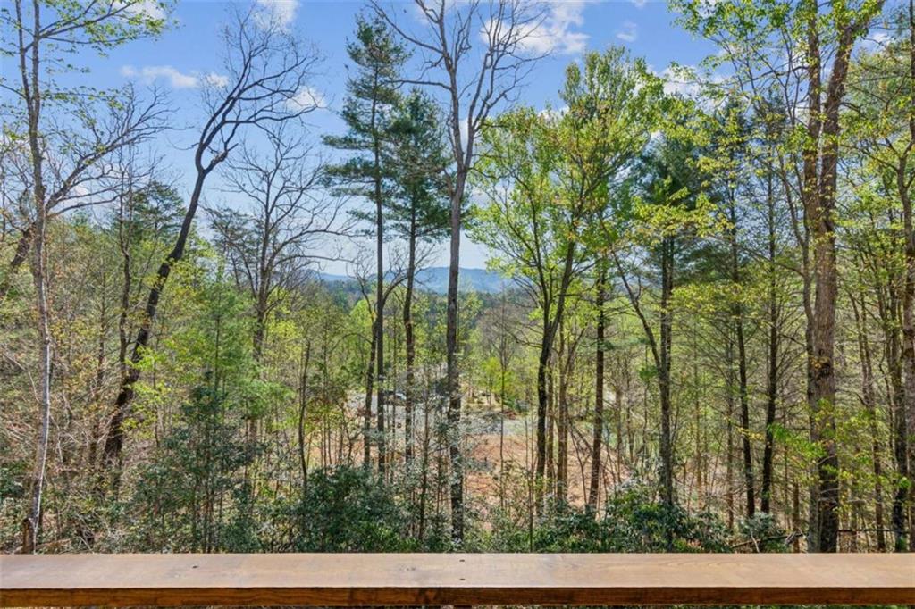 78 Pocola Court, Ellijay, Georgia image 41