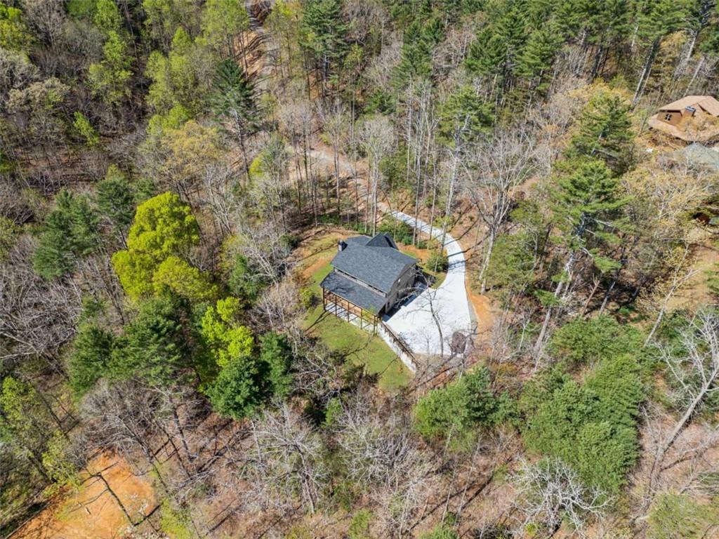 78 Pocola Court, Ellijay, Georgia image 11