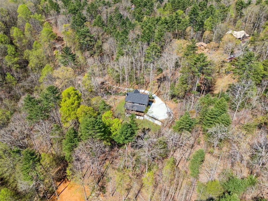 78 Pocola Court, Ellijay, Georgia image 24