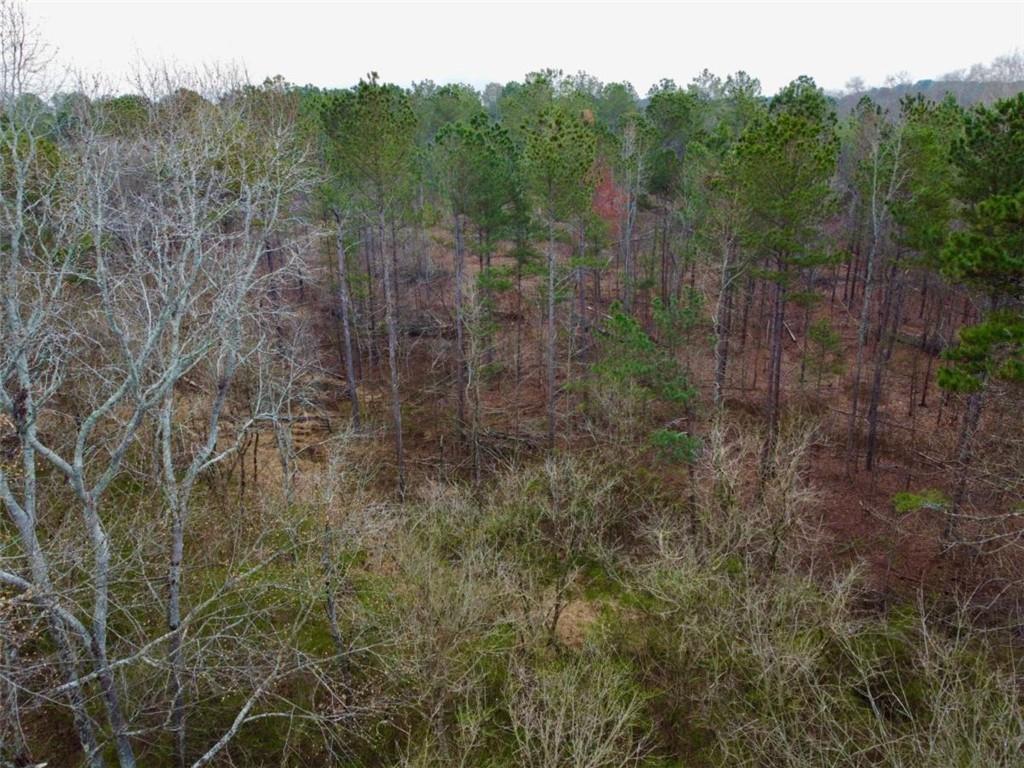5555 Highway 186, Good Hope, Georgia image 6
